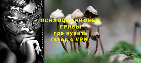 дурь Наволоки