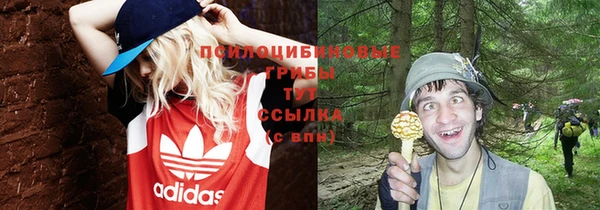 дурь Наволоки